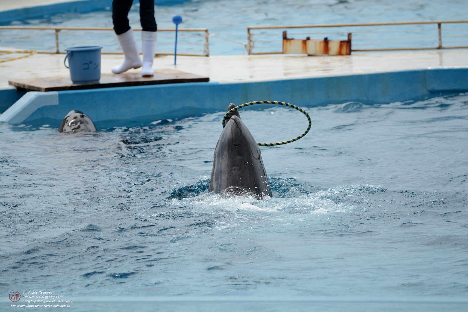 DSC_3057.jpg